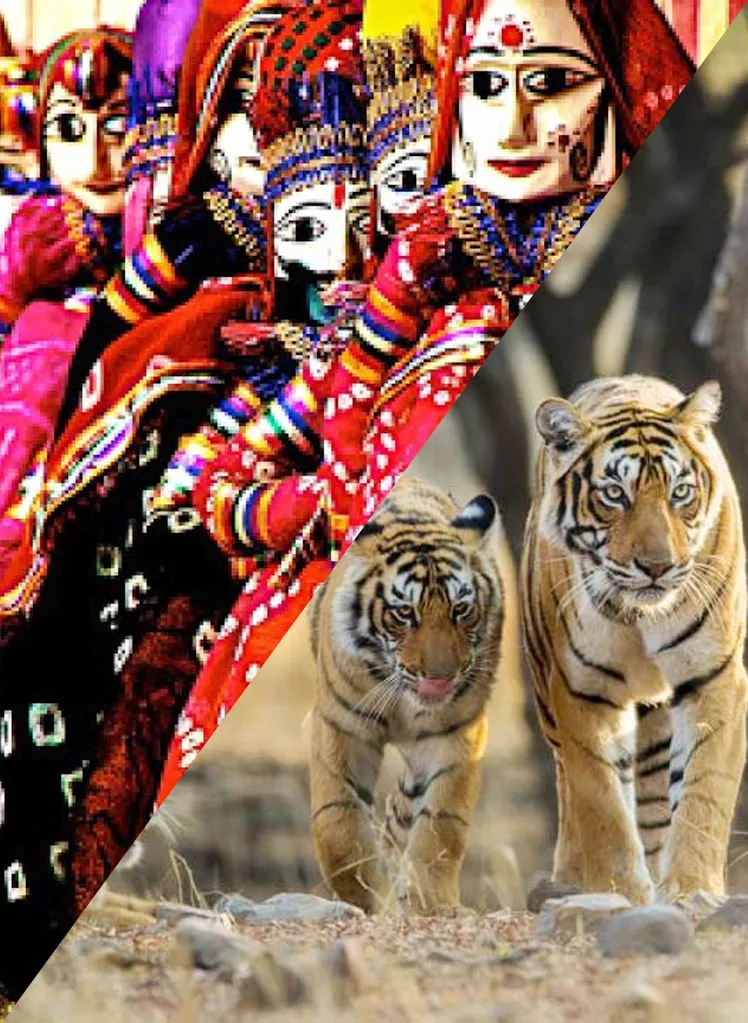 Jaipur Ranthambore Tour Package